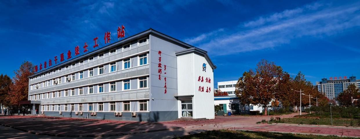 图片13.png
